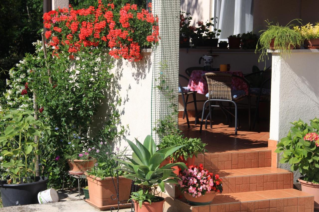 Apartman Rino Bašanija Dış mekan fotoğraf