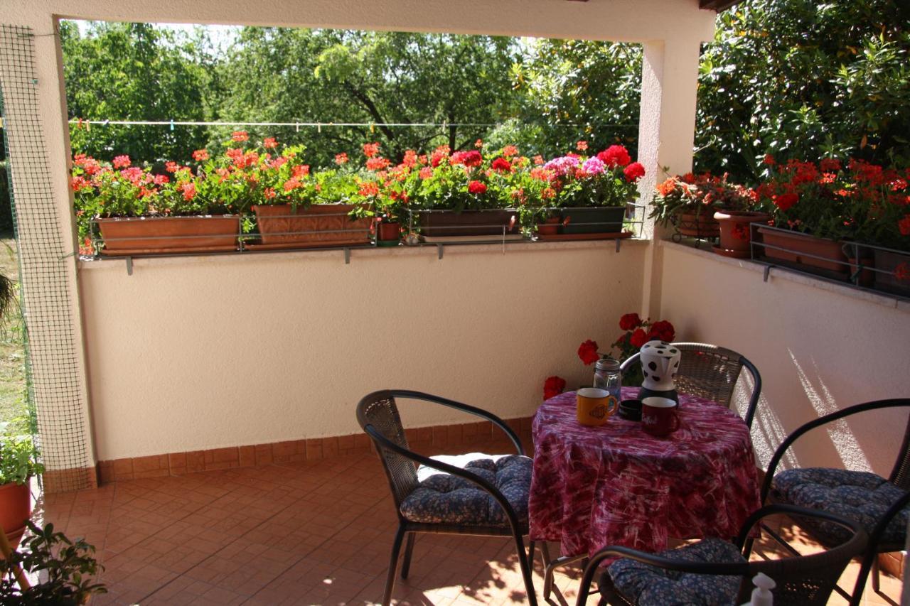 Apartman Rino Bašanija Dış mekan fotoğraf