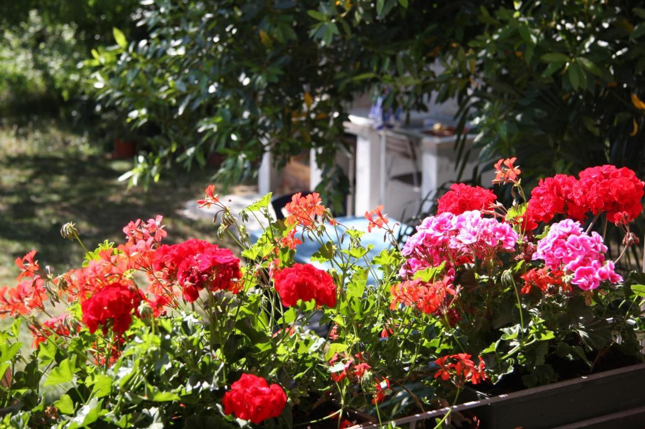 Apartman Rino Bašanija Dış mekan fotoğraf