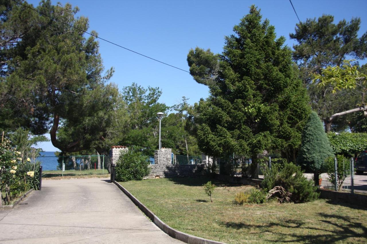 Apartman Rino Bašanija Dış mekan fotoğraf